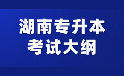 2025年湖南專升本專業(yè)綜合考試大綱匯總